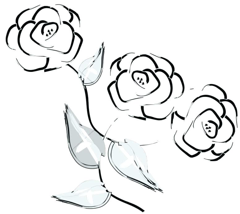 776x694 Rose Line Drawing Simple Rose Bud Line Drawing
