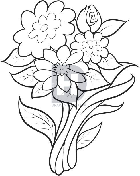 491x617 How To Draw A Bouquet, Step