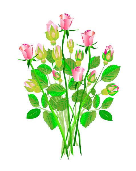 477x600 Rose Bunch Drawings Fine Art America