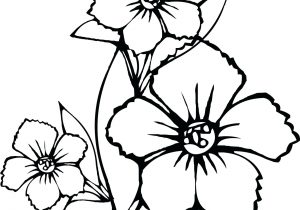 300x210 Bunch Of Flower Colour Drawing Drawing A Rose Flower With Simple