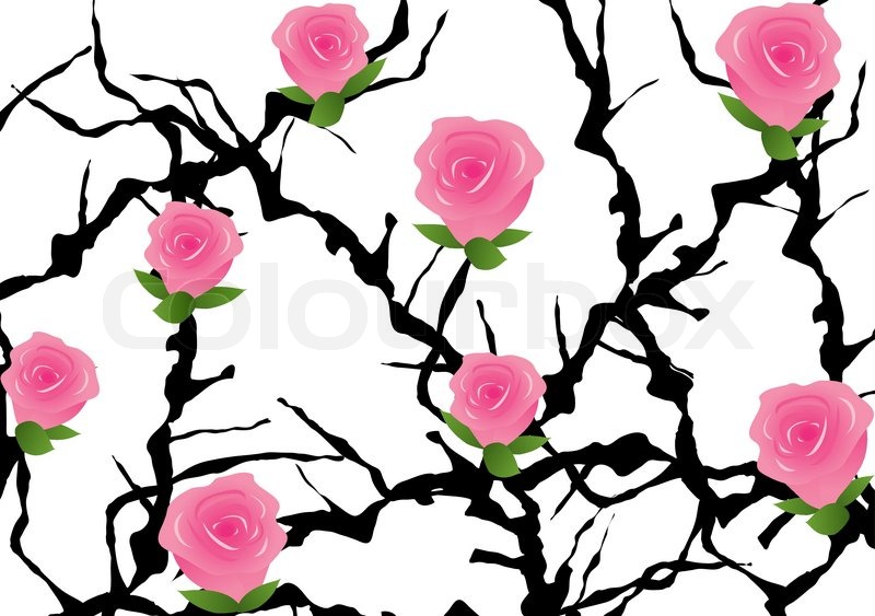800x563 Vector Blackthorn Bush With Roses Stock Vector Colourbox