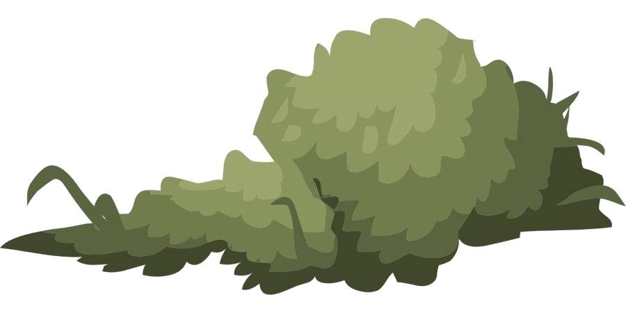 900x460 Bush Drawing