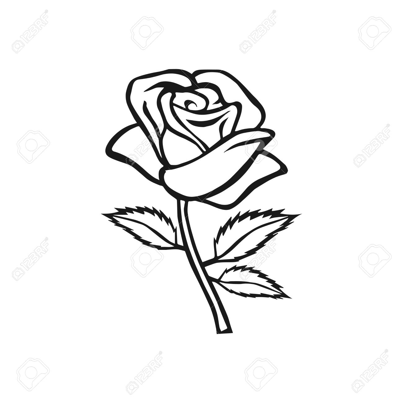 1300x1300 Huge Collection Of 'rose Sketch Drawing' Download More Than