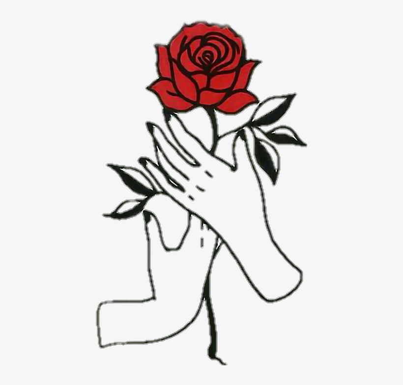 820x784 Rose Hands Aesthetic Draw