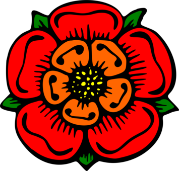 355x340 Rose Flower Drawing Color