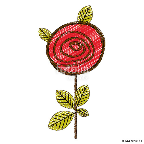 500x500 Color Pencil Drawing Of Button Rose With Leaves And Stem Vector