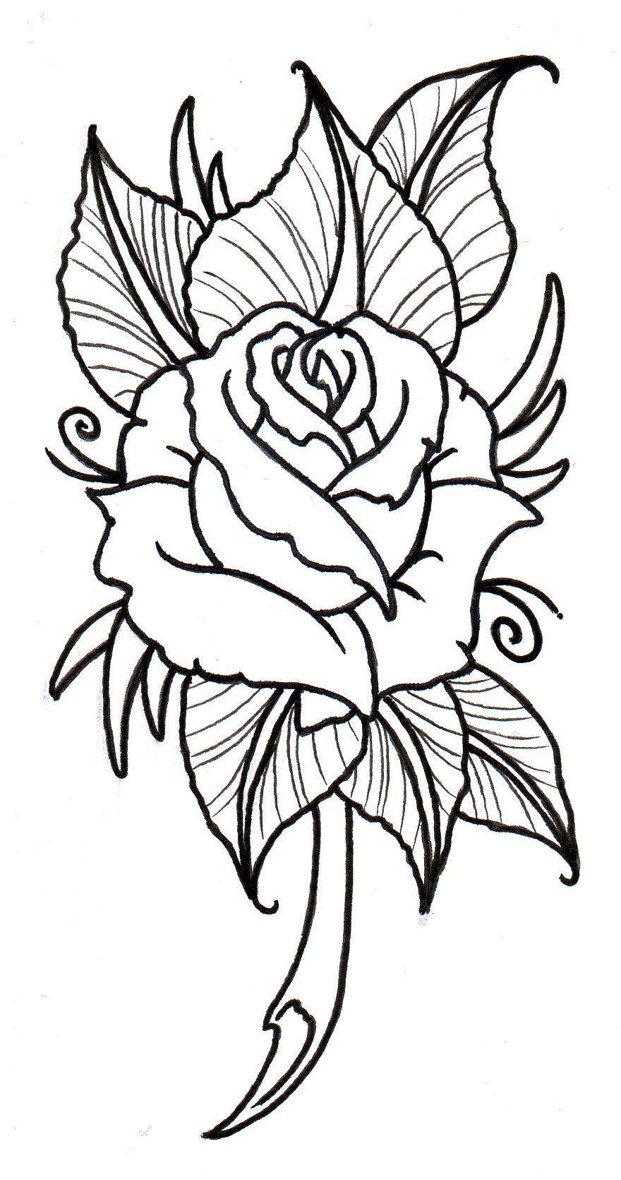 880x1671 Free Rose Tattoos Designs Cool Tattoos