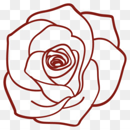 260x260 Garden Roses Illustration Floral Design Attack On Titan Drawing