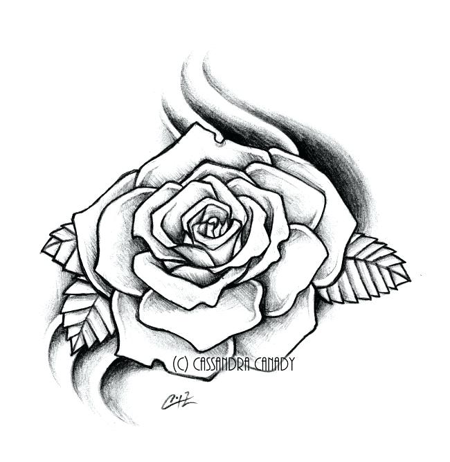 650x667 Roses Drawn Pink Rose Drawing At Rose Drawing Tumblr Easy