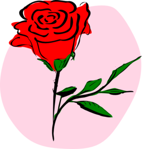 282x297 Colored Rose Drawing Clip Art