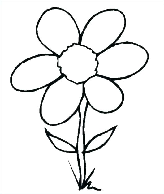 530x627 Coloring Pages Draw A Rose For Kids Coloring Pages Coloring Pages