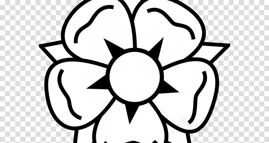 900x480 Drawing, Rose, Flower, Transparent Png Image Clipart Free Download