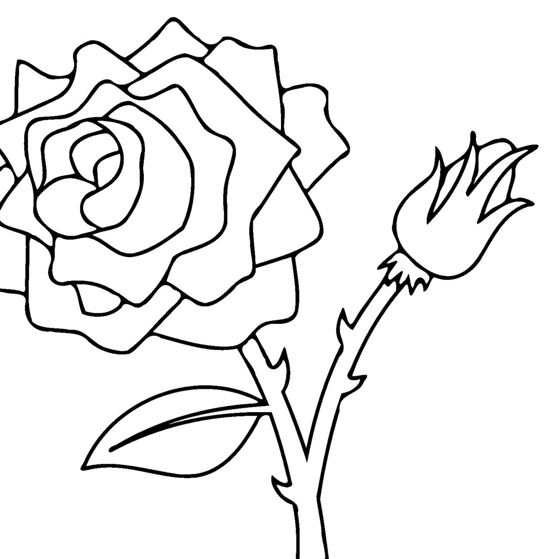 Rose Drawing Color | Free download on ClipArtMag