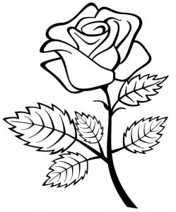 249x300 Rose Coloring Picture