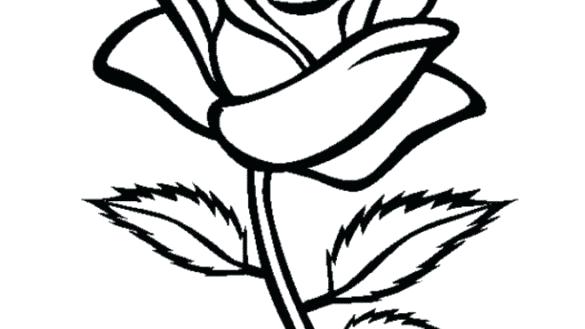 585x329 Sensational Pictures Of Roses To Colour In Tested Rose Coloring
