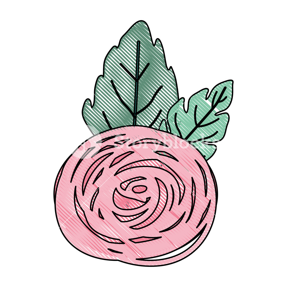 1000x1000 Crayon Silhouette Of Hand Drawing Pink Color Of Bud Rose Flower