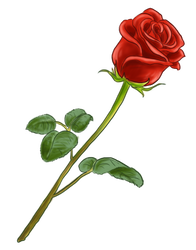 196x250 Dessins Couleur