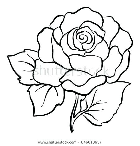 Rose Drawing Color | Free download on ClipArtMag