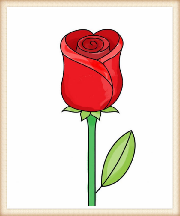 600x720 Color Your Rose Drawing Life Drawings, Rose Step