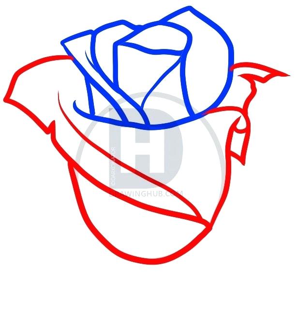 612x650 Rose Easy To Draw Of Roses To Draw A Rose Easy Step Easy Rose