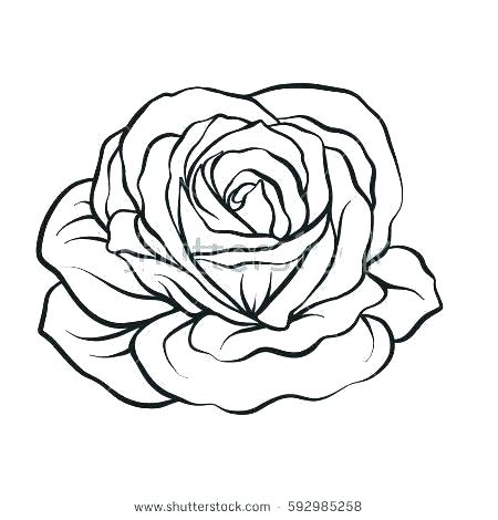 450x470 Easy Roses Drawings Pictures Of Flowers To Draw Easy Rose Simple