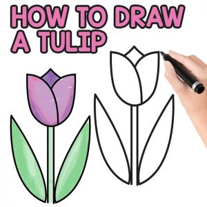 300x300 How To Draw Flowers Archives