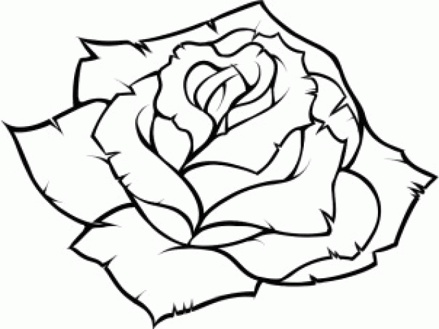 640x480 Drawing Of A Rose Easy Step