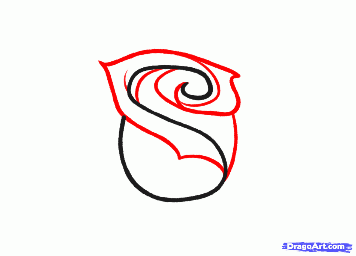 1190x855 Drawings Rose Simple Drawing Group