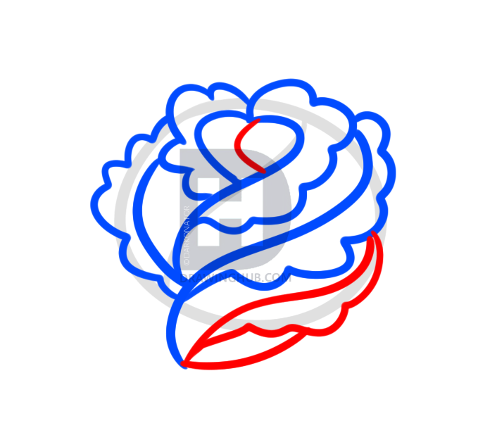 679x635 How To Draw A Rose For Beginners, Step
