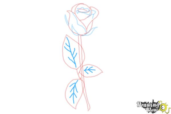 600x400 How To Draw A Rose Step