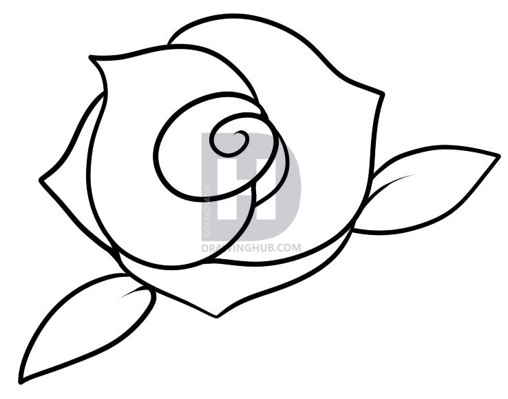 738x579 How To Draw A Rose For Kids, Step