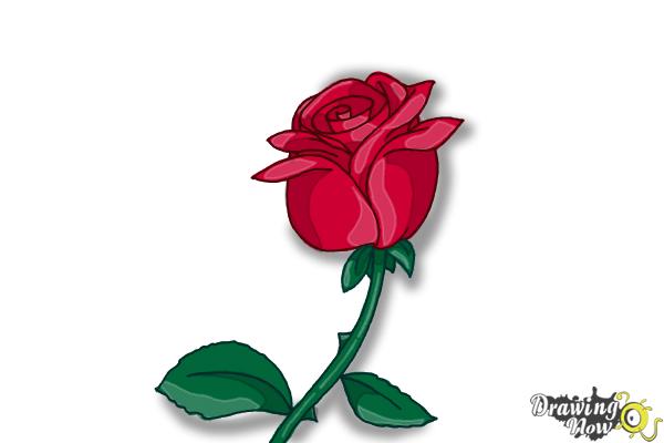 600x400 How To Draw A Rose Step