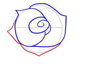 302x237 How To Draw How To Draw A Rose For Kids