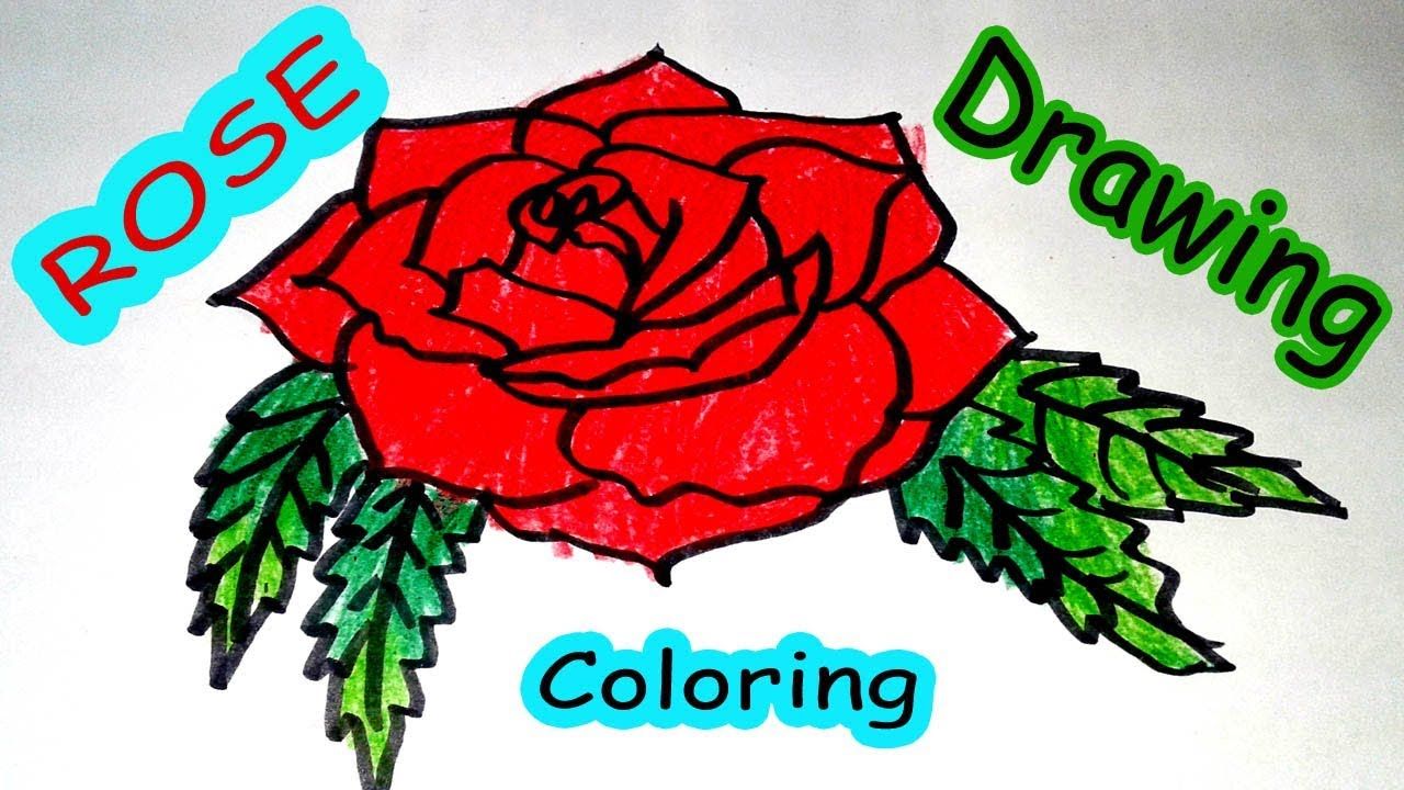 1280x720 Rose Flower Drawing Easy For Kids