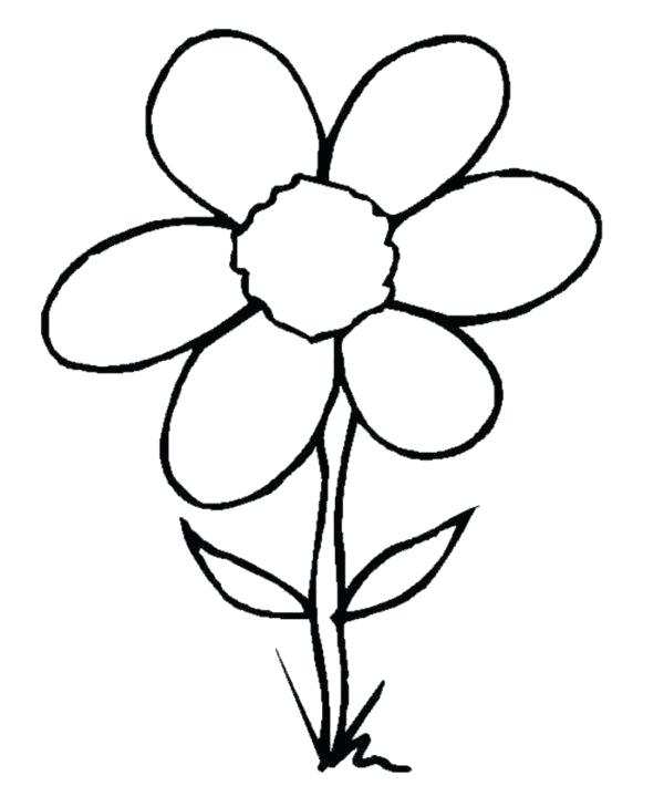 600x710 Coloring Pages Draw A Rose Coloring Pages For Kids