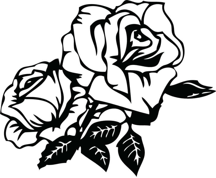 900x740 Rose Drawing Outline Rose Outline Clip Art Rose Drawing Outline