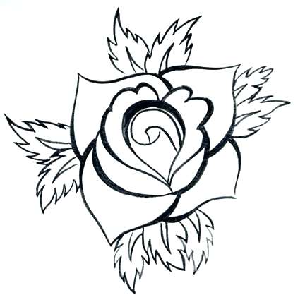 Collection of Rose drawing clipart | Free download best Rose drawing ...