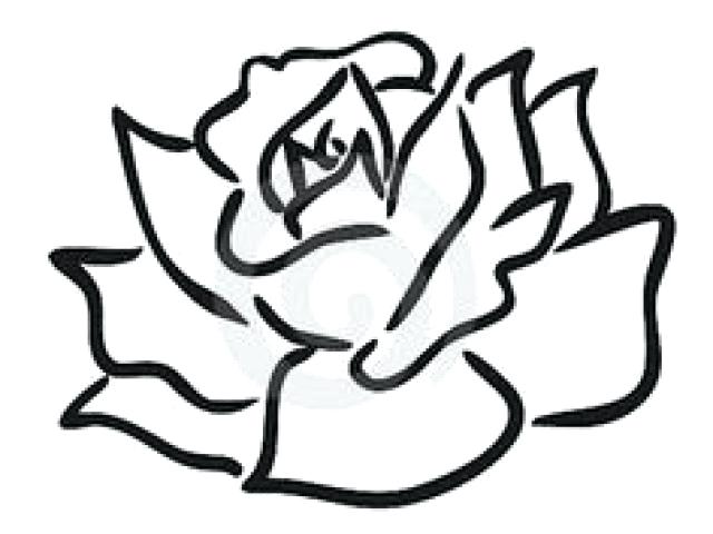 640x480 Rose Easy Drawing Open Rose Drawing Easy Step