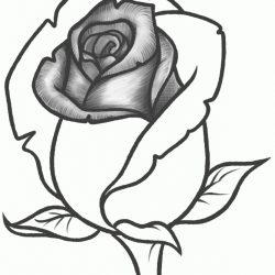 250x250 Flower Drawings Color Simple Cartoon Images Easy Pot Of Food