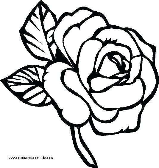 534x563 Kids Flower Drawing How To Draw A Rose Step