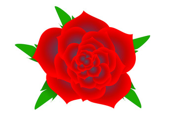 342x240 Search Photos Art, Background, Beautiful, Beauty, Bouquet, Bright