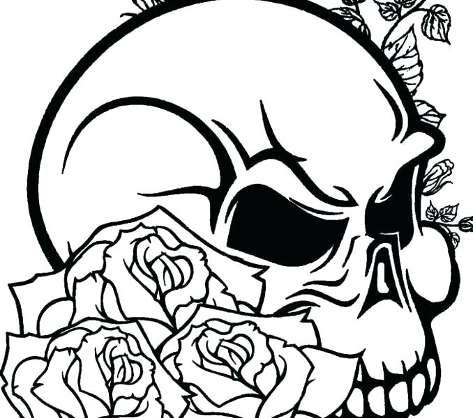 678x600 Coloring Pages Of Rose Color Sheets Compass Printable Klubfogyas