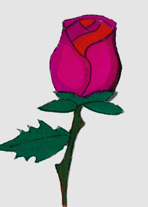 485x678 Rose Pen And Ink Drawing, Coloured With Markers Ulla Hennig