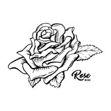 160x160 Rose Wine Flower Hand Drawn Vector Illustration Floral Ink Pen