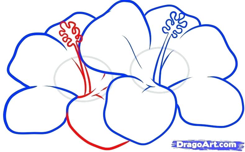 789x490 Drawing Step