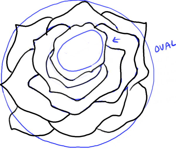 600x510 Huge Collection Of 'open Rose Drawing Step