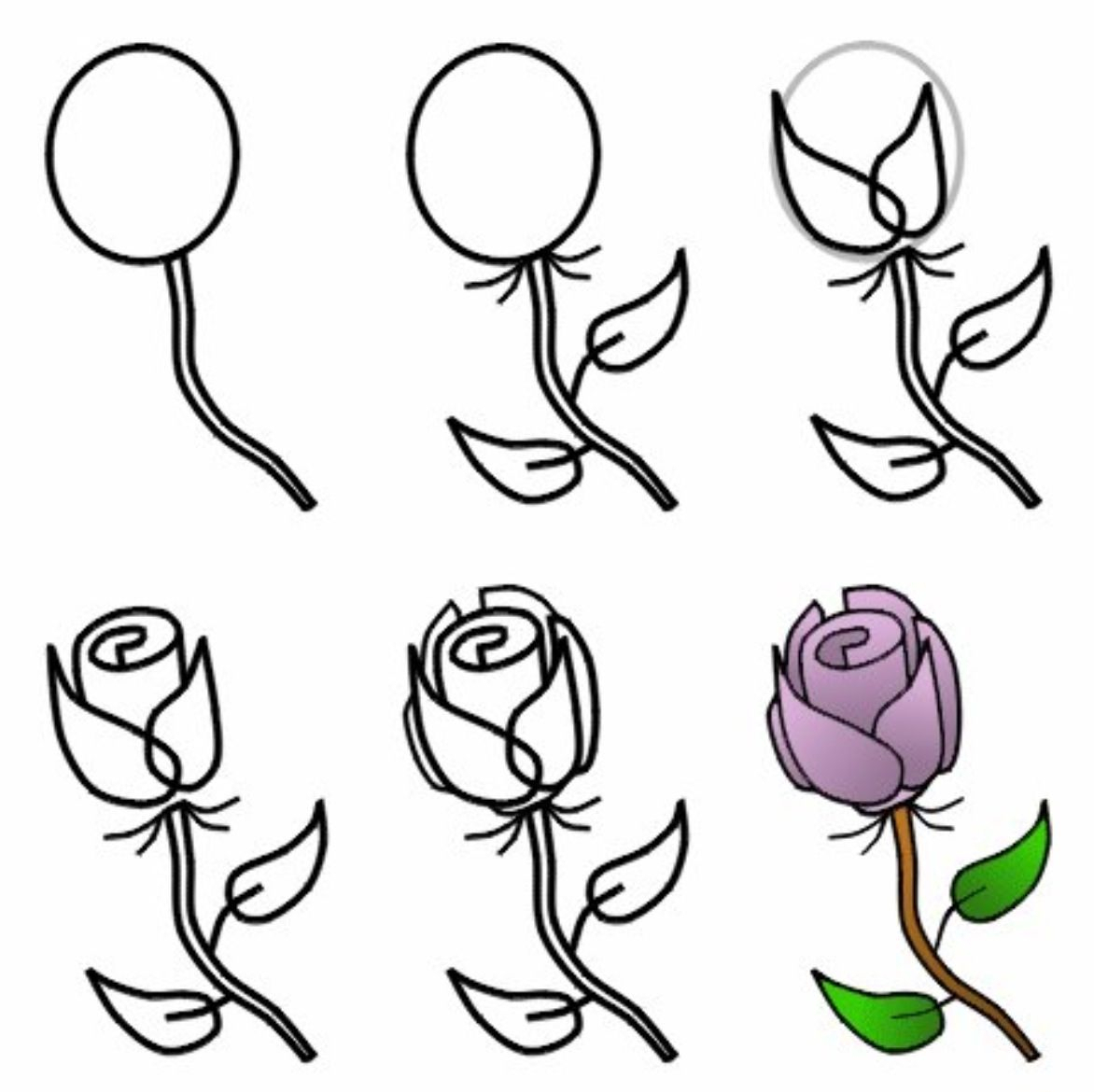 Rose Drawing Step By Step | Free download on ClipArtMag