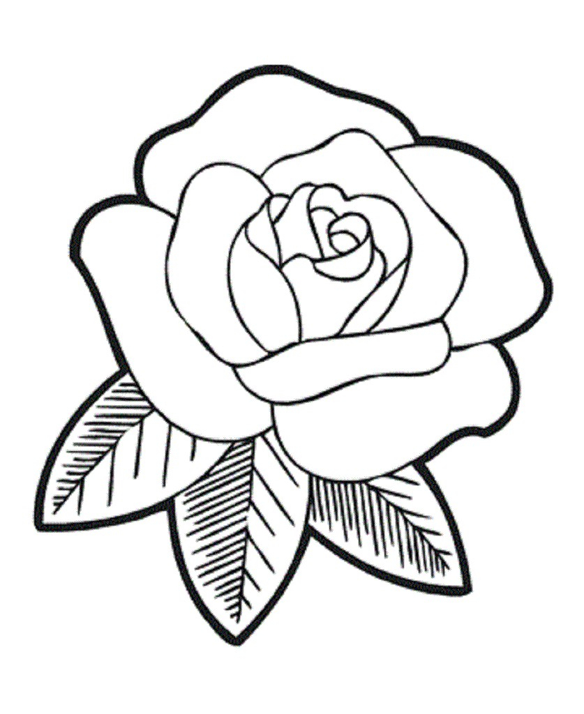 837x1024 Simple Rose Flower Drawings Rose Flower Drawing Instructions