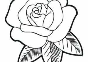 300x210 Easy Drawing Roses How To Draw A Rose