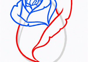 300x210 Drawings Of Rose Plant Top View Vector Awesome Flower Bouquet